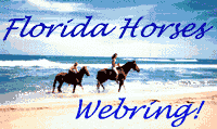 Florida Horses Webring!
